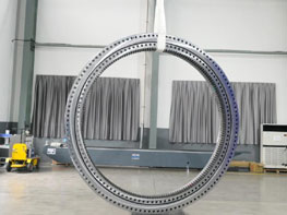 Pitch Bearing